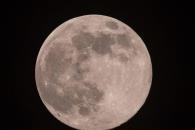 Luna de Ciervo 2025 se observa en México Luna de Ciervo 2025 se observa en México