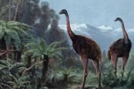 Empresa que desextinguió a lobo terrible ahora va por ave extinta Empresa que desextinguió a lobo terrible ahora va por ave extinta