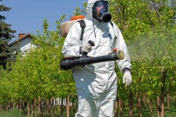 Estudian efectos tóxicos de plaguicidas