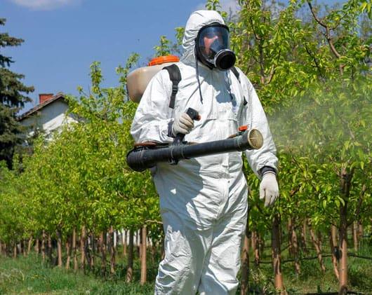 Estudian efectos t&oacute;xicos de plaguicidas