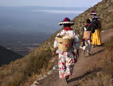 Unesco declara a la Ruta Wixárika patrimonio de la humanidad