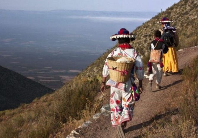 Unesco declara a la Ruta Wixárika patrimonio de la humanidad Unesco declara a la Ruta Wixárika patrimonio de la humanidad