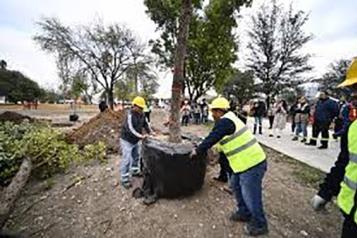 Buscan regresar su resplandor a la Alameda