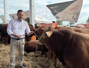 Inician nueva fase del mejoramiento genético del ganado