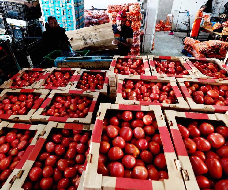Rechaza México arancel de EU al tomate fresco