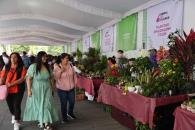 Visita más de 30mil la Feria de las Flores en primer fin de semana Visita más de 30mil la Feria de las Flores en primer fin de semana