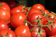 No estamos de acuerdo por arancel al jitomate: Sheinbaum No estamos de acuerdo por arancel al jitomate: Sheinbaum