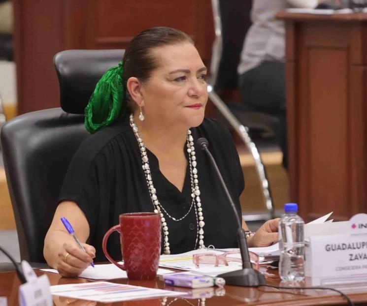 INE defender&aacute; credencial de elector y padr&oacute;n: Taddei