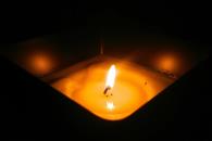 Repelentes naturales para evitar los mosquitos Repelentes naturales para evitar los mosquitos