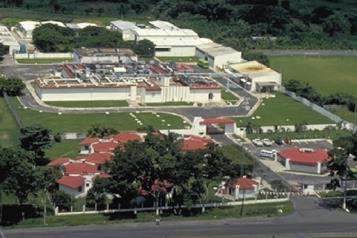 Exigen reactivar planta contra el gusano barrenador