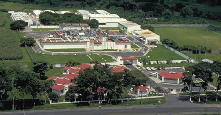 Exigen reactivar planta contra el gusano barrenador