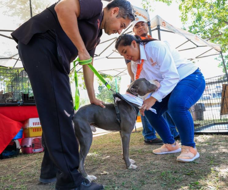 Realizan "Caminata Perrona" en Guadalupe