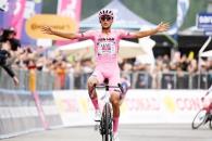 Del Toro vuelve a la actividad Del Toro vuelve a la actividad