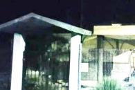 Se ahogan dos mujeres en albercas Se ahogan dos mujeres en albercas