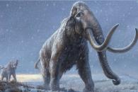 Estudio de UNAM revela h&aacute;bitos alimentarios de beb&eacute; mamut