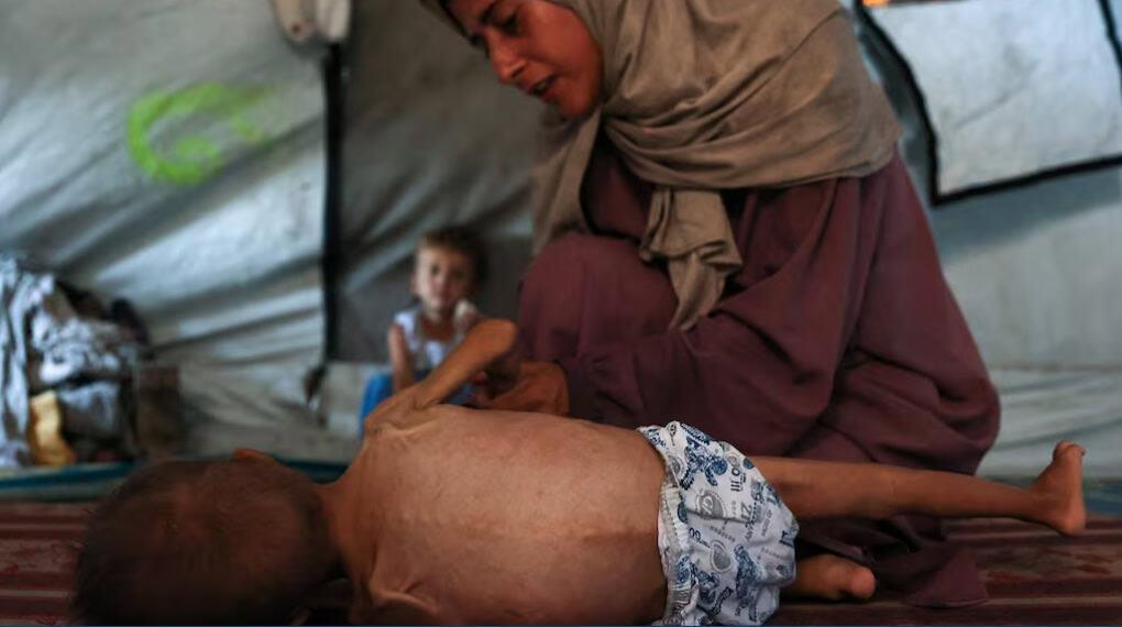 Hambruna en Gaza: Las personas son cadáveres andantes, denuncian Hambruna en Gaza: Las personas son cadáveres andantes, denuncian