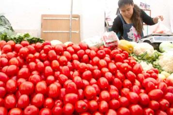 Buscan colocar el jitomate en Japón