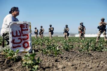 Temen agricultores a las redadas