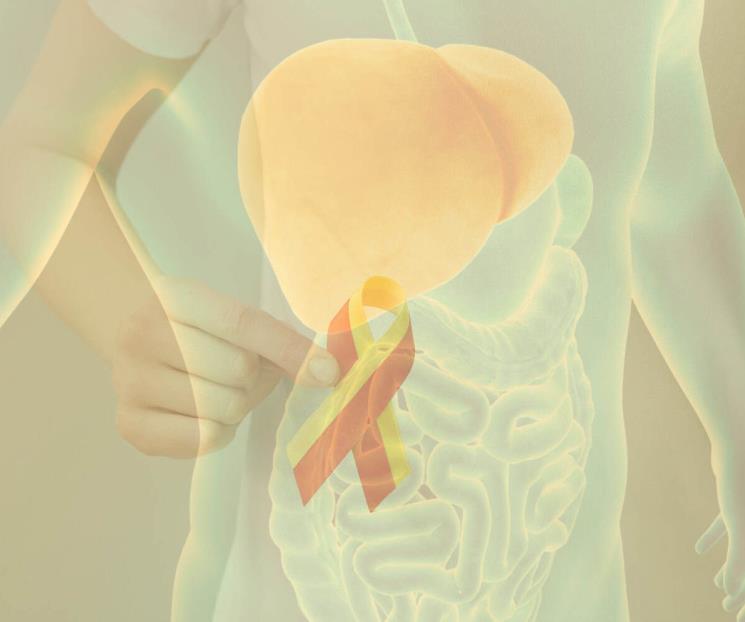 Recomiendan medidas sanitarias para reducir riesgos de hepatitis Recomiendan medidas sanitarias para reducir riesgos de hepatitis