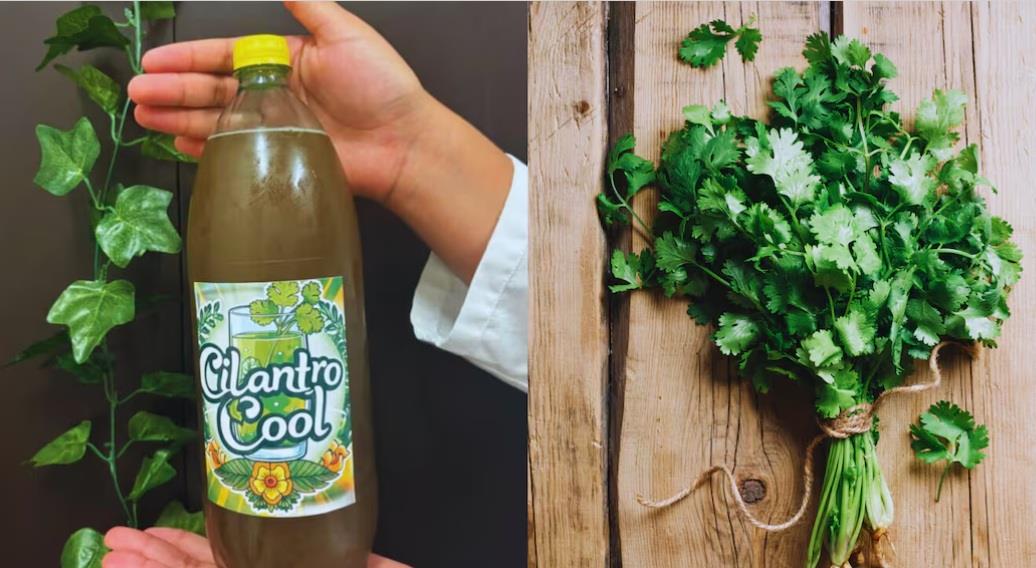 El refresco saludable creado por estudiantes mexicanos