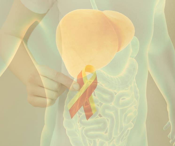 Recomiendan medidas para reducir riesgos de hepatitis Recomiendan medidas para reducir riesgos de hepatitis