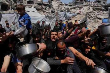 Exigen 17 pa&iacute;ses en la ONU desarme de Ham&aacute;s