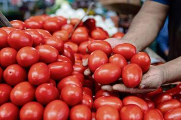 Baja costo del jitomate 11% en México; sube hasta 10% en EU