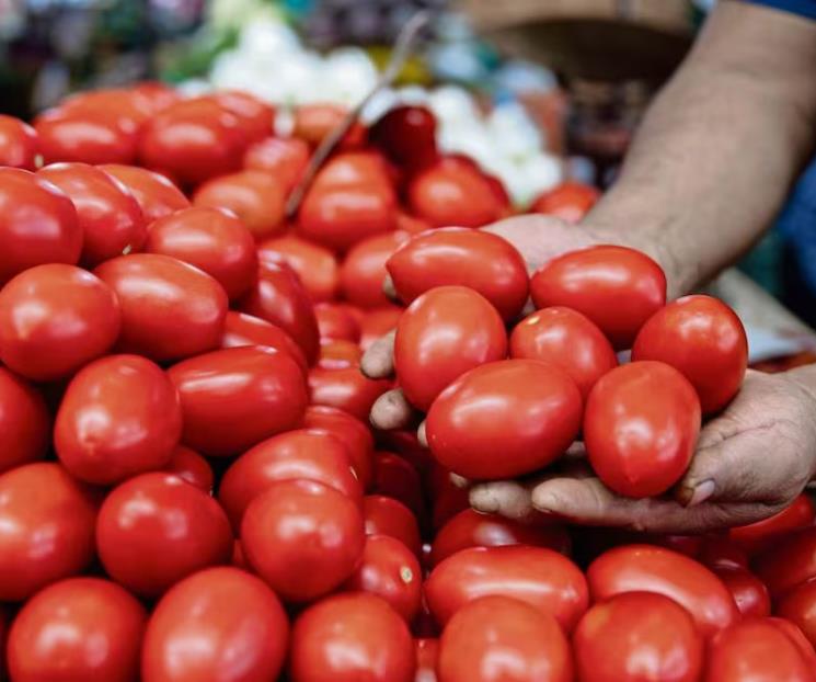 Baja costo del jitomate 11% en México; sube hasta 10% en EU