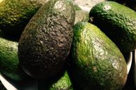 Los beneficios de comer aguacate Los beneficios de comer aguacate