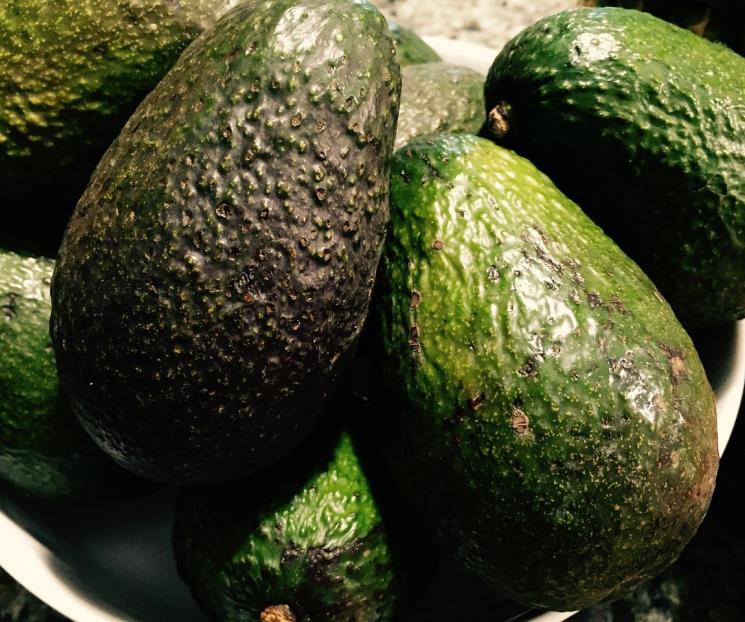 Los beneficios de comer aguacate Los beneficios de comer aguacate