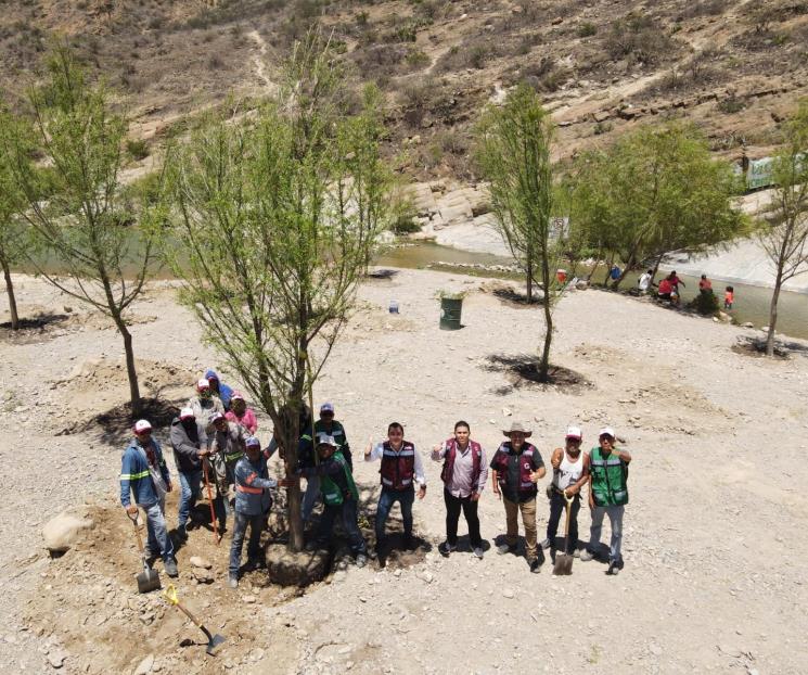 Reforestan el parque ecol&oacute;gico Nacataz