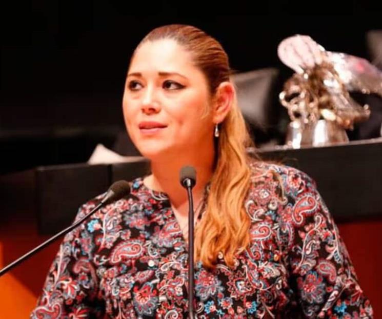 Busca Ver&oacute;nica Camino presidir la mesa directiva del Senado