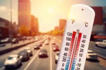 Registran temperaturas r&eacute;cord en el &Aacute;rtico y pa&iacute;ses n&oacute;rdicos