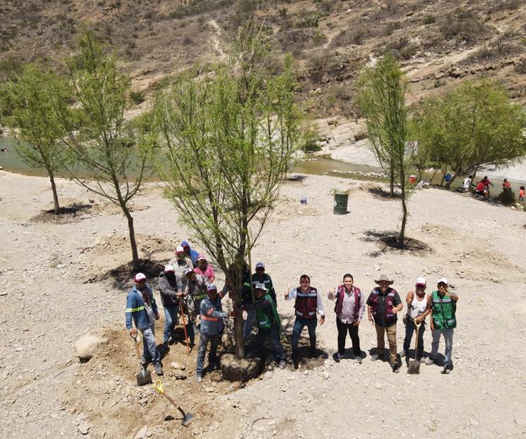 Reforestan el parque ecológico Nacataz
