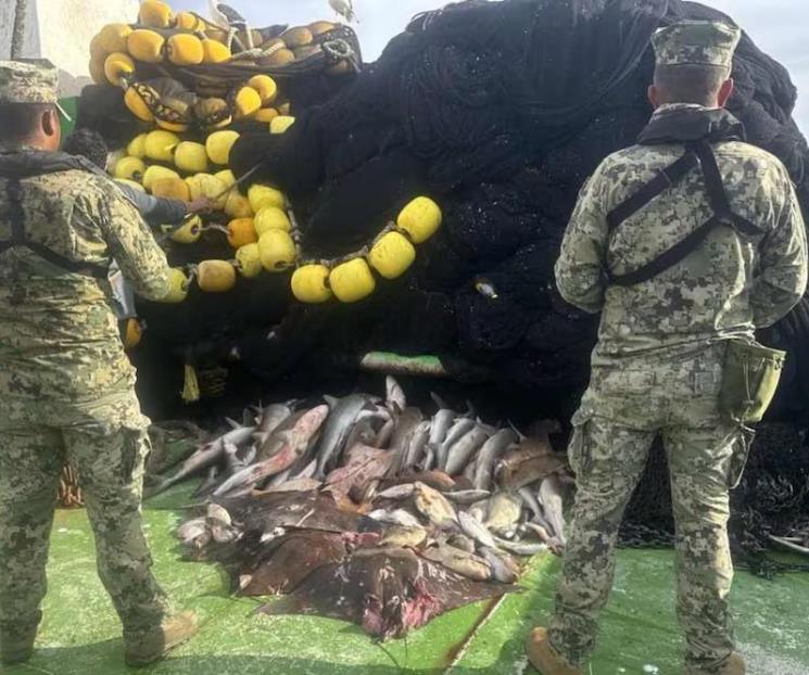 Decomisan más de 4 mil toneladas de pesca ilegal Decomisan más de 4 mil toneladas de pesca ilegal