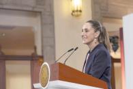 Harán una consulta ´amplía´ para la reforma electoral