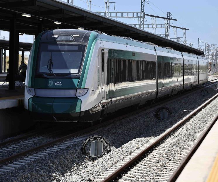 Cambia Ejército estrategia para proteger fauna en el Tren Maya Cambia Ejército estrategia para proteger fauna en el Tren Maya