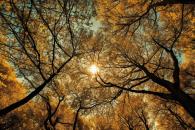 El ocaso de oto&ntilde;o