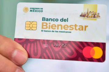 ¿Quiénes se benefician de los apoyos gubernamentales?