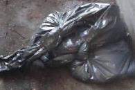 Encuentran restos humanos en Doctor Arroyo