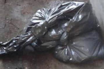 Encuentran restos humanos en Doctor Arroyo