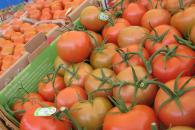 Estos son los precios mínimos del jitomate para exportación Estos son los precios mínimos del jitomate para exportación