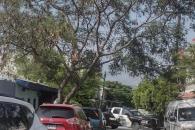 Atracan a familia en su casa