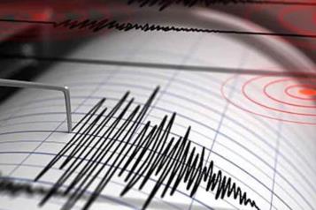 Se registra sismo de magnitud 4.6 en La Mira, Michoacán