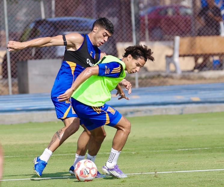 Van Tigres por su partido 12 al hilo marcando en el Volcán