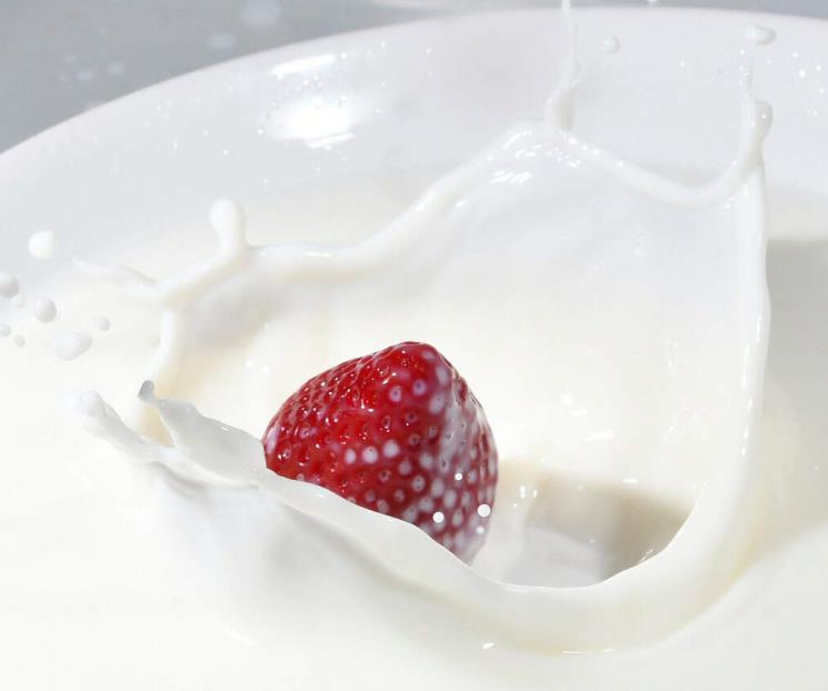 ¿Cómo se hace la leche de búlgaros? ¿Cómo se hace la leche de búlgaros?