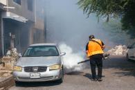 Intensifica Guadalupe el combate al dengue