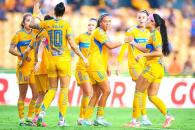 Van felinas por la cima momentánea