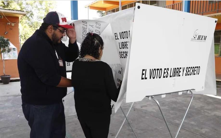 PVEM no dar&aacute; cheque en blanco a Morena en reforma electoral