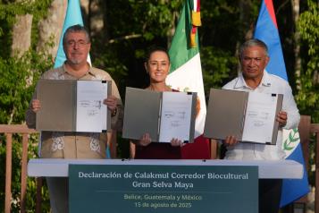 Anuncian el Corredor Biocultural de la Gran Selva Maya